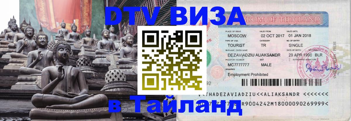 Оформление DTV визы под ключ: стоимость и тарифы, только загранпаспорт - 19.11.2025 